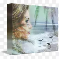 ˮ�ʻ�����.��̲����-������