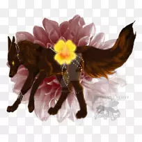 ����ֲ��-��ɫ��-������