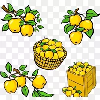 ������-����ƻ��������װ��-������