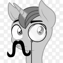 ���룬��������è����-���տ��֣�����-������