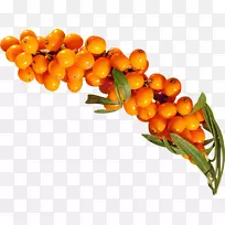 ɳ������ɳ���ͼ�����-������