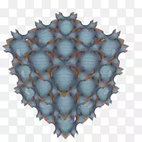 对称有机体-笔记本-空若网 对称有机体-笔记本-空若网