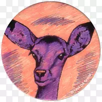 山羊动物群-空若网 山羊动物群-空若网