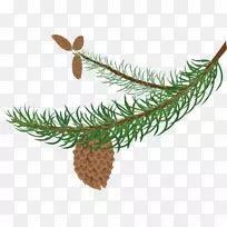 松枝常绿针叶锥夹艺术.透明树枝-空若网 松枝常绿针叶锥夹艺术.透明树枝-空若网