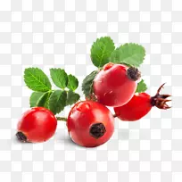 醋栗,玫瑰,红醋栗,狗,玫瑰,茶,玫瑰油-空若网 醋栗,玫瑰,红醋栗,狗,玫瑰,茶,玫瑰油-空若网