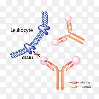 erenumabҩ��trastuzumab emtansine-������֬����-������