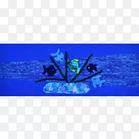 钴蓝叶水矩形叶-空若网 钴蓝叶水矩形叶-空若网