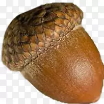 ���Ӵ�����ͼ��������ͼ��-����-������