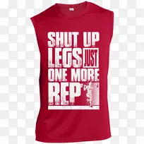 t����������ƽ�.t��-������