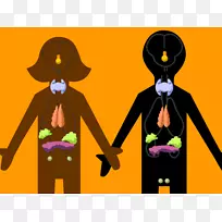 内分泌系统人体排泄系统激素腺体内分泌激素-空若网 内分泌系统人体排泄系统激素腺体内分泌激素-空若网