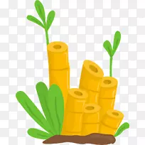 竹黄嫩竹-空若网 竹黄嫩竹-空若网