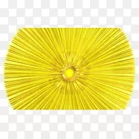 线对称花-莱娅-空若网 线对称花-莱娅-空若网