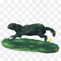 Ȯ�ƶ���½������-��-������