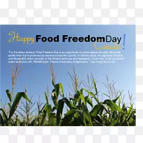 奥迪草能源广告多媒体界面-加拿大日-空若网 奥迪草能源广告多媒体界面-加拿大日-空若网