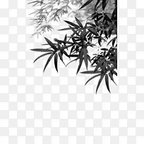 竹子下载-竹叶-空若网 竹子下载-竹叶-空若网