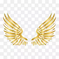 金天使翅膀图标-空若网 金天使翅膀图标-空若网