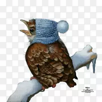 猫头鹰-空若网 猫头鹰-空若网