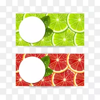 �������Ӳ�ͼ.�������ʳȹ�ʵ�������-������