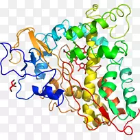 �������ߵ��Ʒ�л�����-������