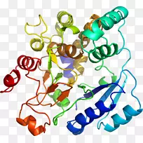 剪贴画人体饰品有机体线-空若网 剪贴画人体饰品有机体线-空若网