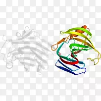 插画艺术树线-空若网 插画艺术树线-空若网