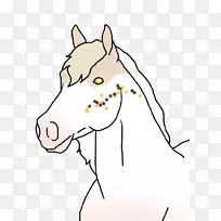 鼻子,缰绳,野马,缰绳-野马-空若网 鼻子,缰绳,野马,缰绳-野马-空若网