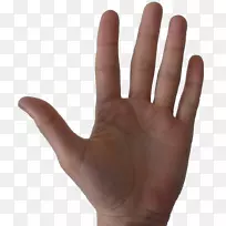 拇指数字手小指手-空若网 拇指数字手小指手-空若网