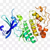 ������ʳƷֲ�ﾥ������-������