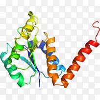 剪贴画植物茎身珠宝系列-珠宝-空若网 剪贴画植物茎身珠宝系列-珠宝-空若网