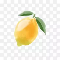 柠檬柑橘朱诺黄色手绘柠檬-空若网 柠檬柑橘朱诺黄色手绘柠檬-空若网