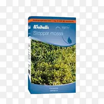 Ô°ÁÖÀ¥³æMyr.se Blomsterlandet ab-³æ-¿ÕÈôÍø Ô°ÁÖÀ¥³æMyr.se Blomsterlandet ab-³æ-¿ÕÈôÍø