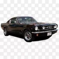 ��һ������Ұ���������-57ѩ����-������