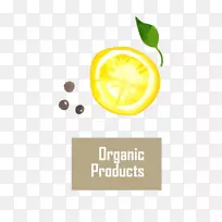 �����ֻ�����Ƭ-������