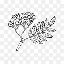 ×ÅÉ«ÊéÏßÒÕÊõÒ¶ÂÞÎÄ»æÍ¼-Ò¶-¿ÕÈôÍø ×ÅÉ«ÊéÏßÒÕÊõÒ¶ÂÞÎÄ»æÍ¼-Ò¶-¿ÕÈôÍø