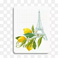 柠檬-新鲜柠檬背景-空若网 柠檬-新鲜柠檬背景-空若网