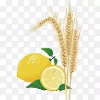 小麦柠檬玉米图片-空若网 小麦柠檬玉米图片-空若网