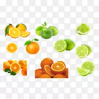 克莱门汀柠檬柑橘橙载体柠檬橙果实-空若网 克莱门汀柠檬柑橘橙载体柠檬橙果实-空若网