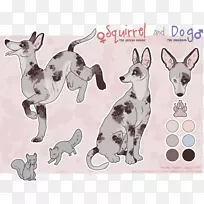 意大利灰狗培育爪子警犬-澳大利亚牧羊犬-空若网 意大利灰狗培育爪子警犬-澳大利亚牧羊犬-空若网