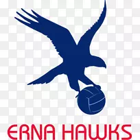 伊斯特伍德莱德无障碍球协会澳大利亚快攻5体育项目-无障碍球-空若网 伊斯特伍德莱德无障碍球协会澳大利亚快攻5体育项目-无障碍球-空若网