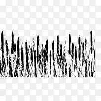 电脑字体电脑桌面壁纸草电脑-空若网 电脑字体电脑桌面壁纸草电脑-空若网