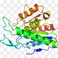 ������ֲ�ﾥ�߲�������-�߲�-������