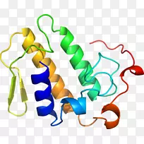 �������л����߶�����-������