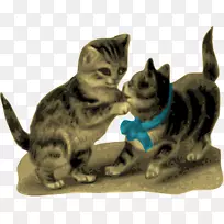 Сè�ƶ���������СèͼƬ-������