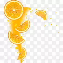 ��֭��������-�������ʳȹ�ʵ�������-������