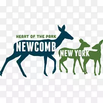 纽约塔霍斯湖哈里斯营地长湖马纽约市-马-空若网 纽约塔霍斯湖哈里斯营地长湖马纽约市-马-空若网