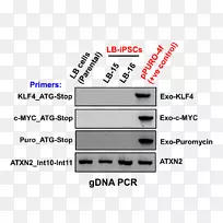 ���������Ʒ�����-������