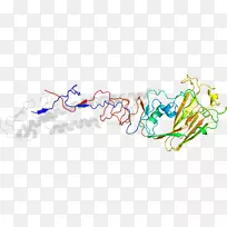 �������ߵ���-������