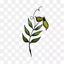 剪枝艺术植物茎开花植物叶-叶-空若网 剪枝艺术植物茎开花植物叶-叶-空若网