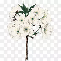 ��������л������˹�����-������