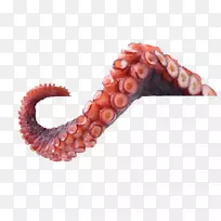 章鱼触须科学灾难-空若网 章鱼触须科学灾难-空若网